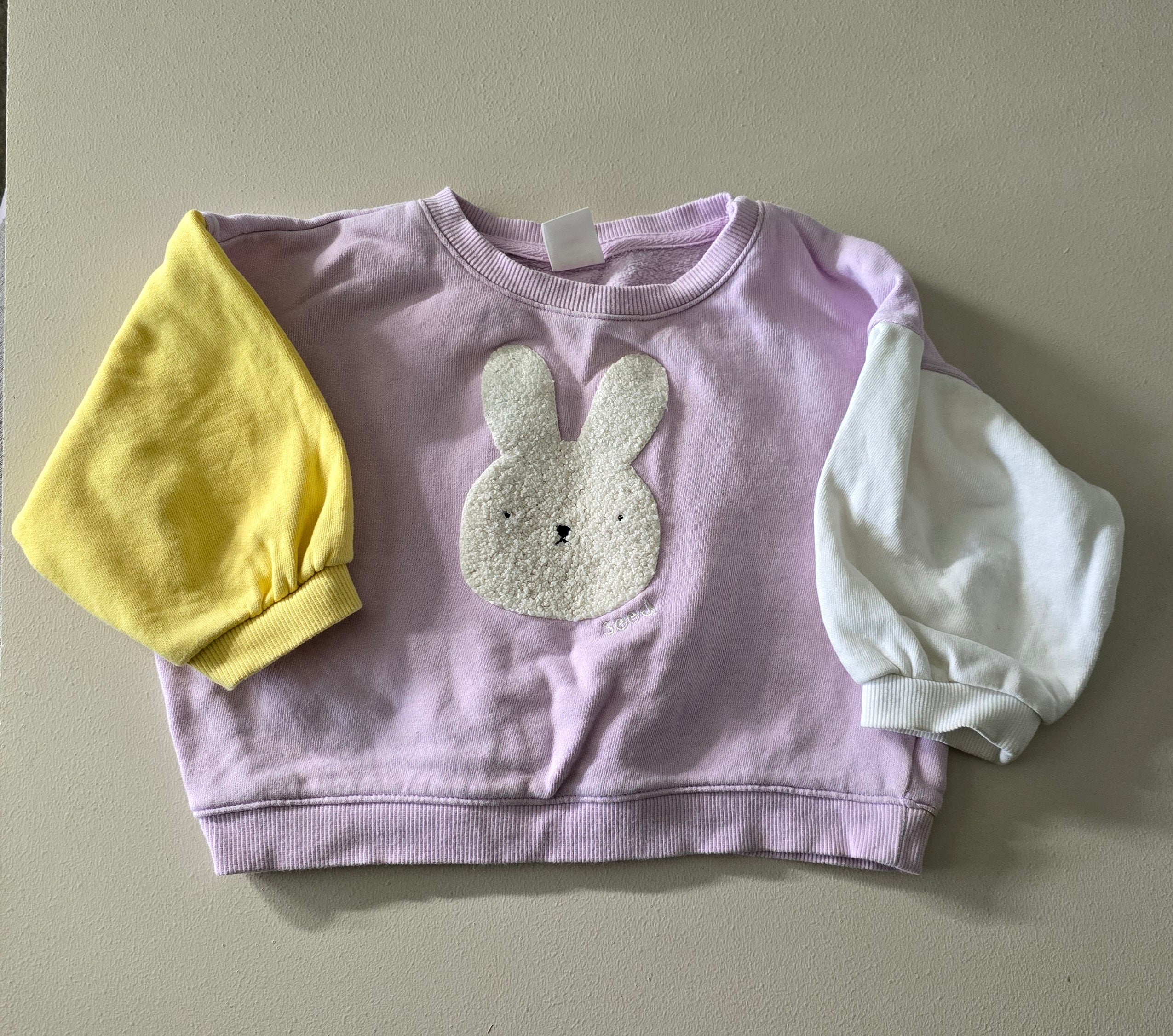 Seed Bunny Jumper (18-24m)
