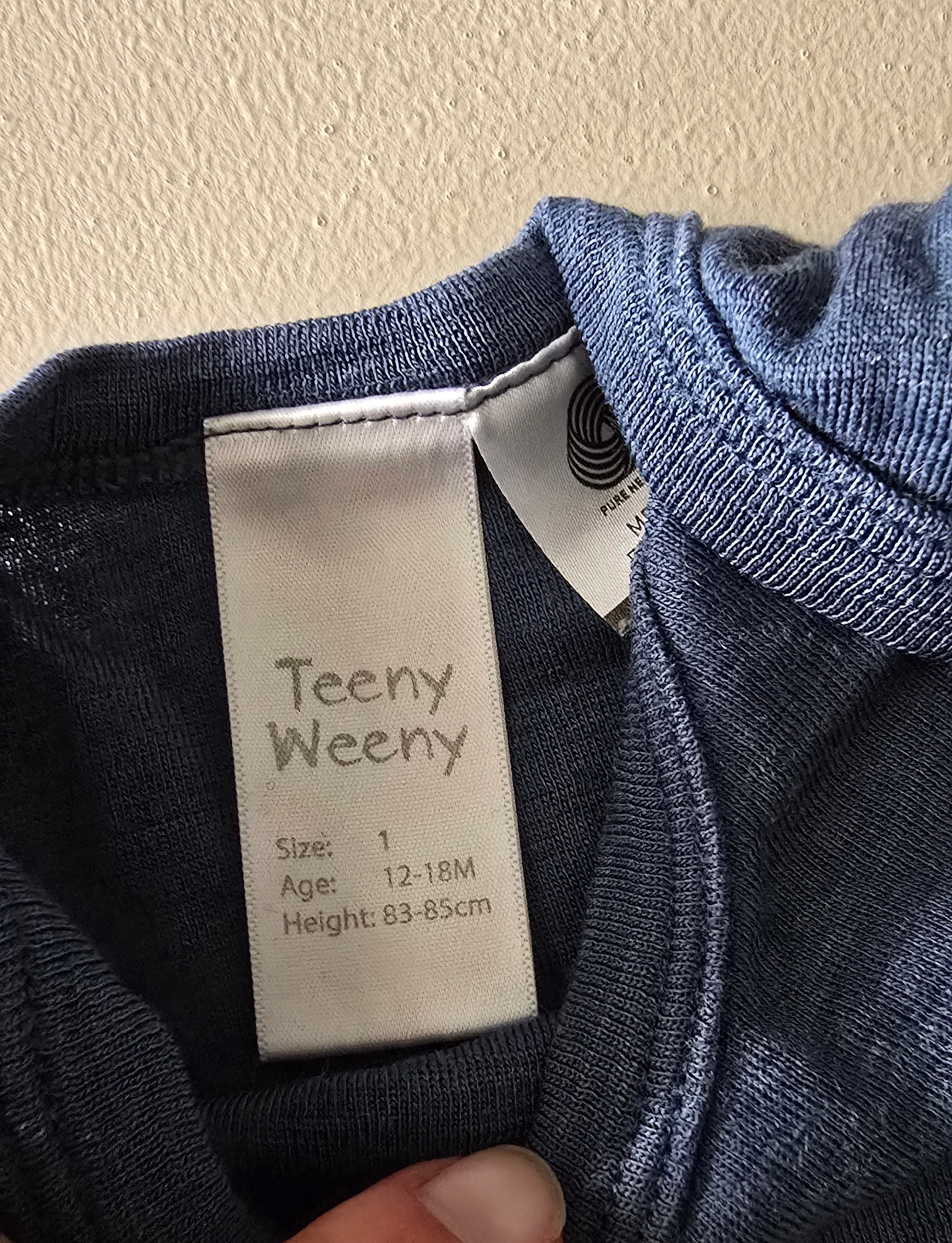 Teeny Weeny Merino Onesie (12-18m)