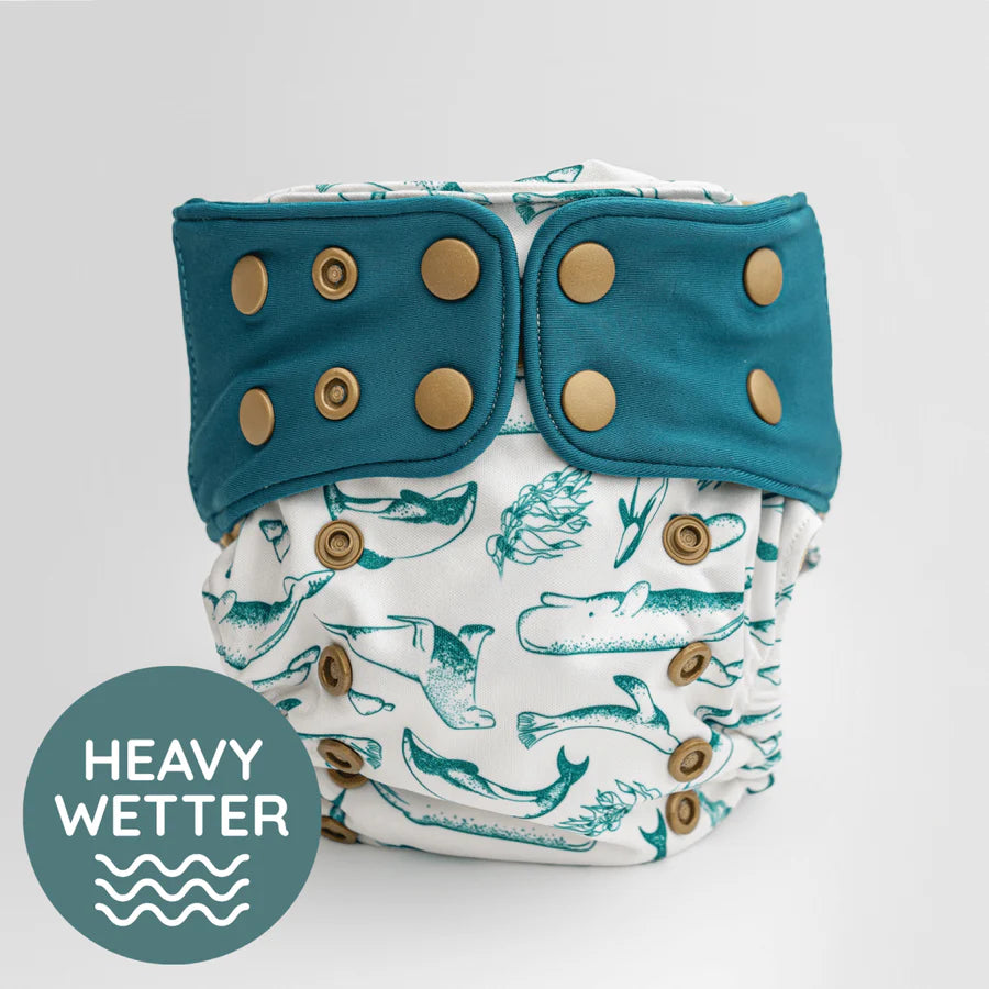 Kinder Renew Heavy Wetter | Kaikoura by Kekoa