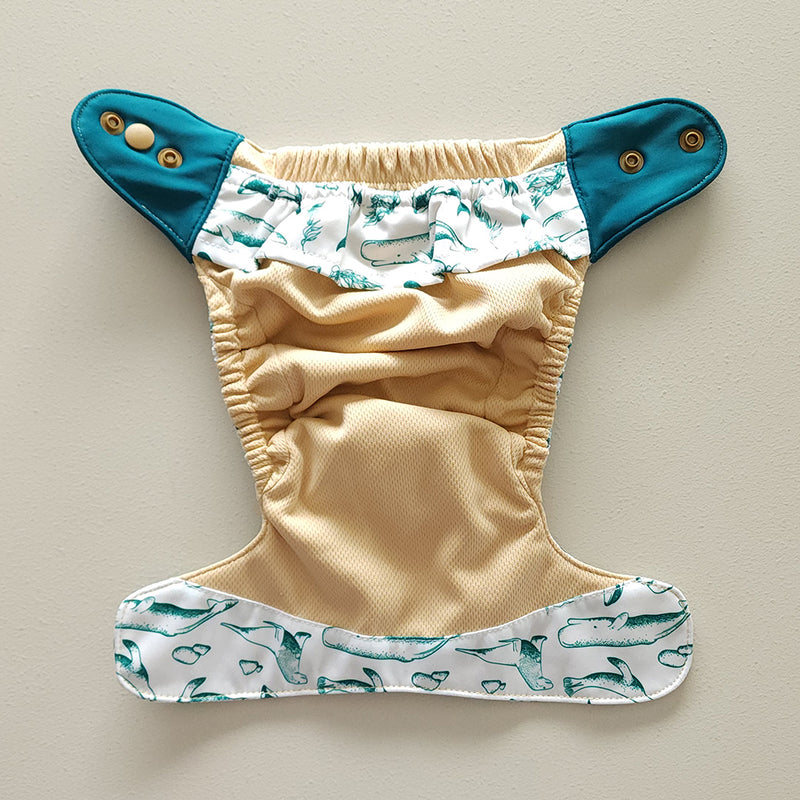 Kekoa Premium Newborn | Cove (Seafoam Wings)